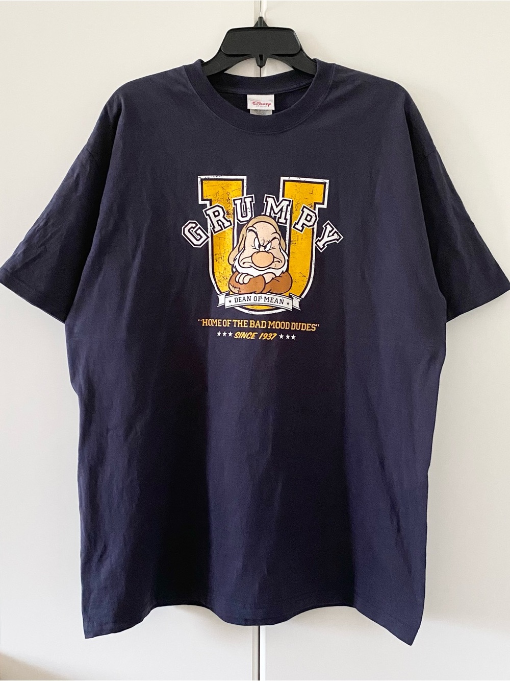 Y2K Disney Grumpy University